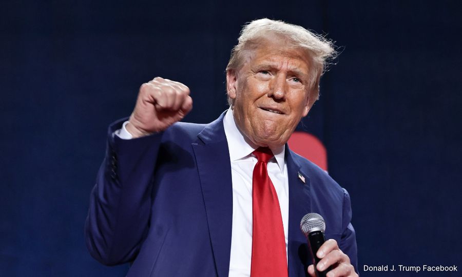 COMMENT | New sheriff in town - will Trump disrupt or destroy?