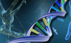 Ujian DNA sahkan lelaki maut di hospital Mae Sot warga M'sia