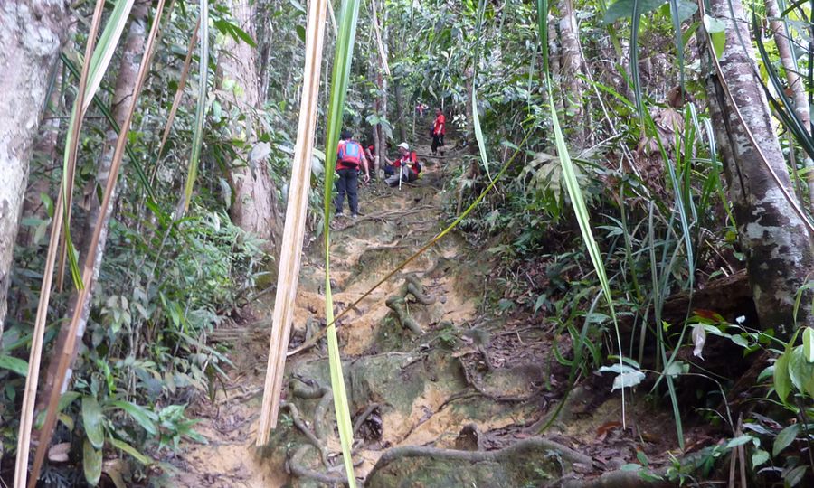 Enam pendaki sesat di Gunung Angsi ditemui, seorang cedera