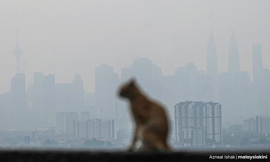 NGO: M'sia-Indonesia should stop blaming each other over haze
