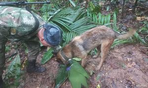 Colombian children found alive in jungle weeks after plane crash
