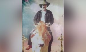 COMMENT | Ravi Susu - without his cows there was no milk