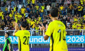 FAM hargai sokongan 'ekor' Harimau Malaya