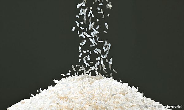 Reduce price of imported white rice, Naccol official urges Bernas