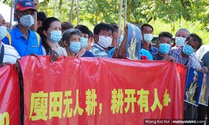 文告｜声援劳勿榴莲农，彭政府应保留农地予农民