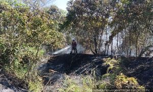 30 hektar hutan terbakar di Pekan