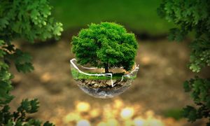 LETTER | Sustainable production, consumption the way forward