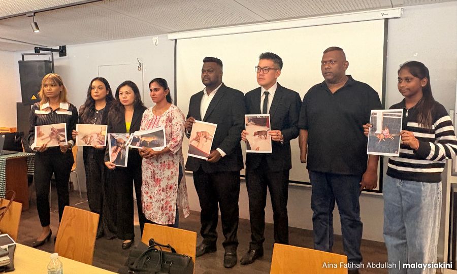 Animal welfare group presses Klang council for answers over Rocky's death