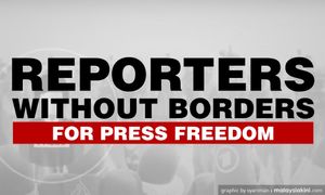 Reporters without Borders: 67 journalists killed in past year