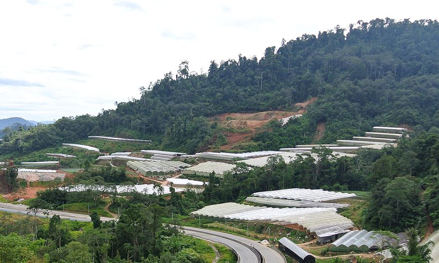 Tanah runtuh: Jalan Gua Musang- Lojing ditutup sepenuhnya 