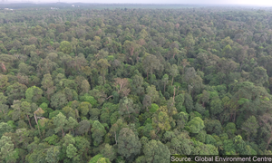 Taman negeri dimasyhur Hutan Warisan Diraja S'gor