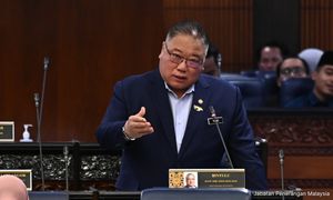 MM2H: Beri maklumat jika ada syarikat tak berdaftar jadi ejen, kata Tiong