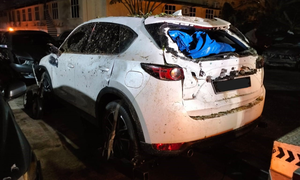 Allianz General reminds drivers to add-on Special Perils amidst tree fall incidences