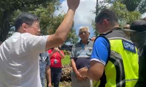 猫山王国变成猫山亡国