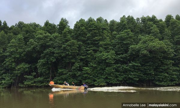 Kitingan's alleged quarry bid raises scrutiny on forest licences