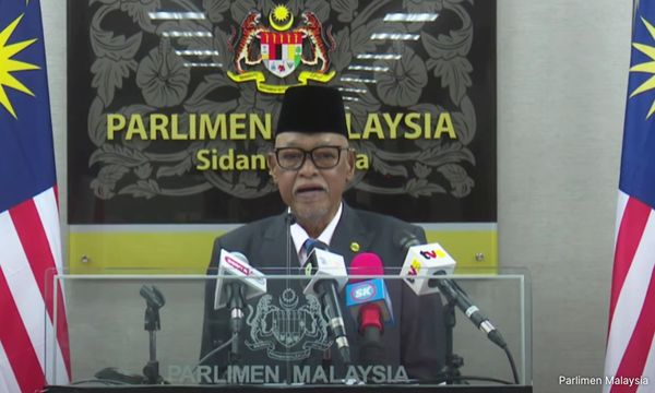 Langkawi MP wants special island for stray dogs
