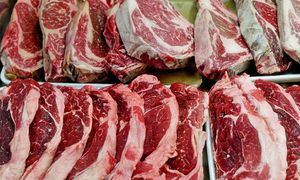 DVS ulas dakwaan 'superbug' dalam produk berasaskan haiwan
