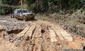 PRU15: Larang masuk kampung Orang Asli sebab pengurusan bencana - Jakoa