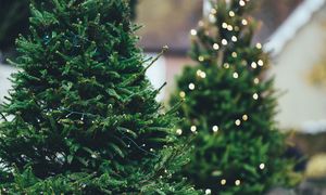 COMMENT | A tale of 2 M'sias just before Christmas