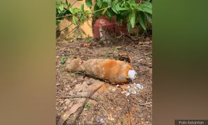 Bom mortar ditemukan di Rumah Seri Kenangan