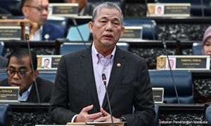 Input pelbagai pihak sebelum keputusan mengenai Auku - TPM