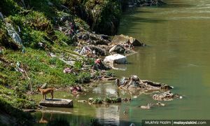 Govt mulling heavier penalties for river littering, minister says