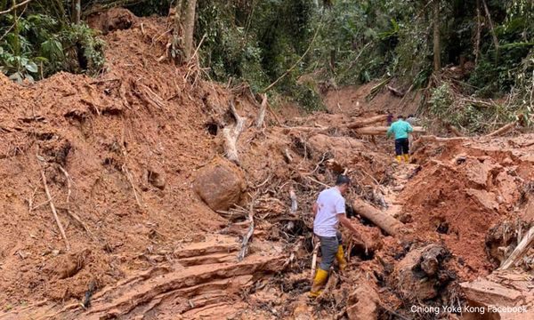 'Unsanctioned agricultural earthworks cause of Kg Raja landslides'