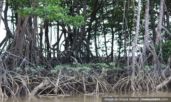 Call for states to nominate wetlands as new Ramsar sites