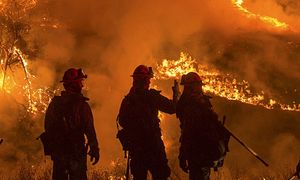 Lebih 28,000 orang diarah pindah, kebakaran hutan California Utara