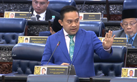 Consider shutting down pig farms nationwide: Wan Saiful