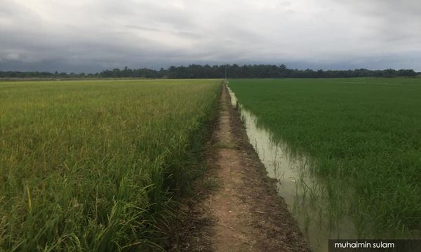 KOLUM | Sungai Manik: Sebuah geografi kolonial