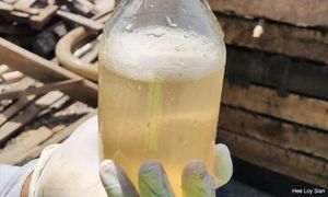 LETTER | Industrial waste management should be a govt priority