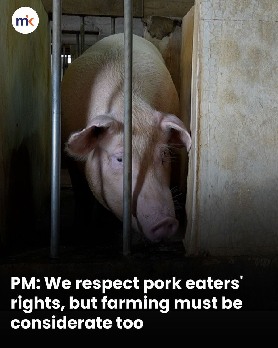 PM: We respect pork eaters' rights, but farming must be considerate too