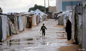 COMMENT | Open letter to Trump: Gaza belongs to Palestinians
