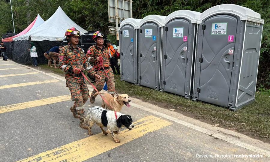 The four-legged heroes of Batang Kali