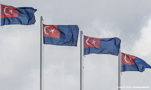 Johor Harapan moots redelineation as opposed to appointed reps
