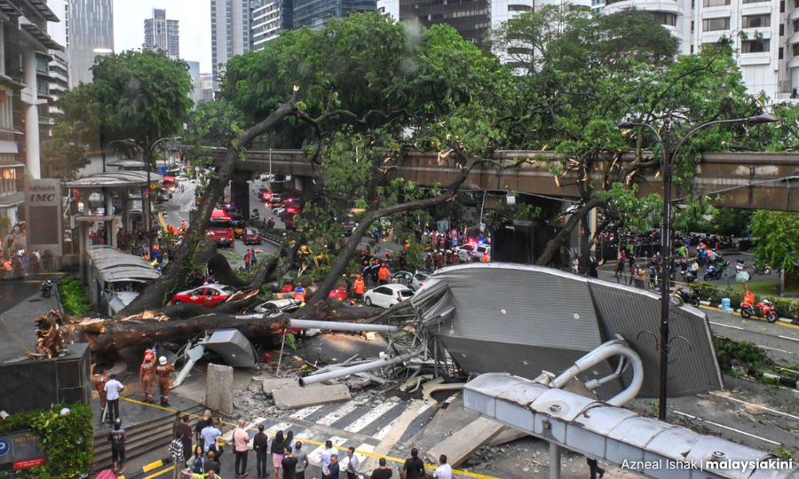 Tree tragedy: E-hailing driver discharged, Swedish passenger still being treated