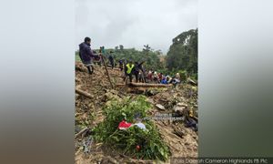 金马仑土崩农地属非法开垦，森林局曾逮捕园主
