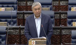 Goodyear plant closure: Reliance on imported latex may be a factor, says DPM