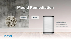 How Do Mould Spores Lead To Health Problems?