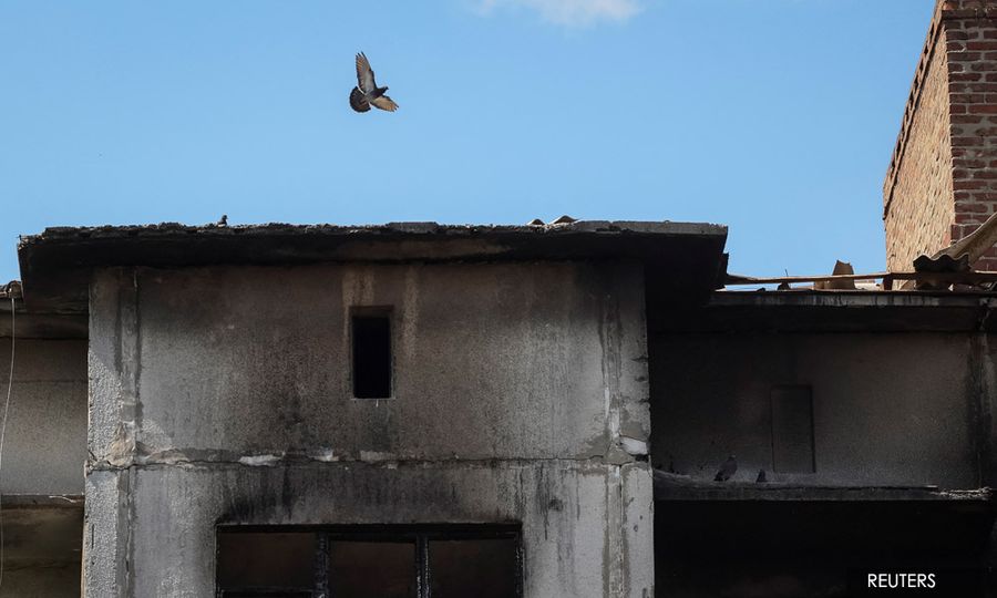 LETTER | Pigeon on the roof
