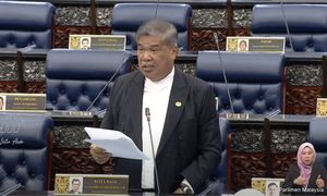 Bumis failed to capitalise on durian exports - Mat Sabu
