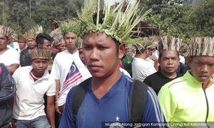 Orang Asli Gua Musang harap nasib terbela di bawah kerajaan baru