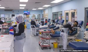 NGO gesa kerajaan tangguh skim kesihatan ‘dua darjat’