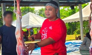 Adun nafi jual lembu korban dapat percuma