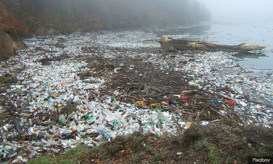 'Phthalates' bahan kimia plastik dikait kematian penyakit jantung