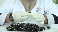 FELCRA Berhad DxP Seed mampu tingkat produktiviti ladang