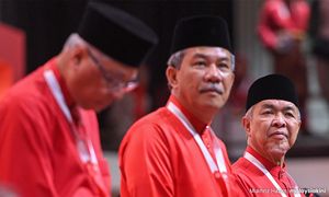 Zahid singgung kelompok 'kura-kura' dalam parti