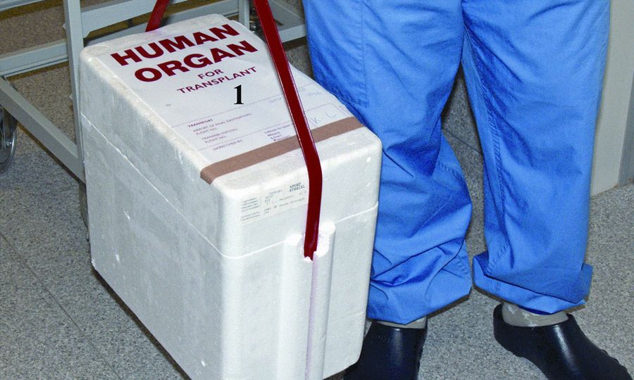 Claims of human organ trade must be taken seriously - Health DG
