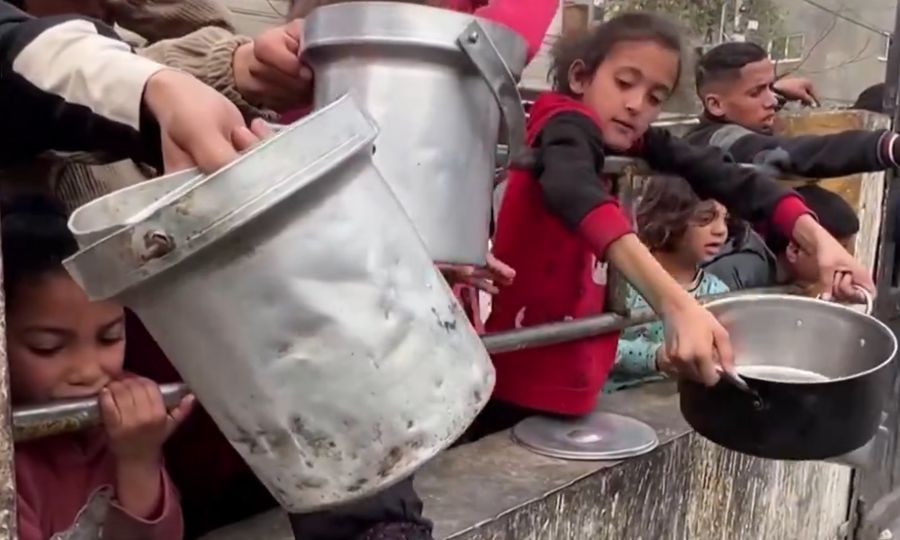 WHO reports critical malnutrition among Gaza kids